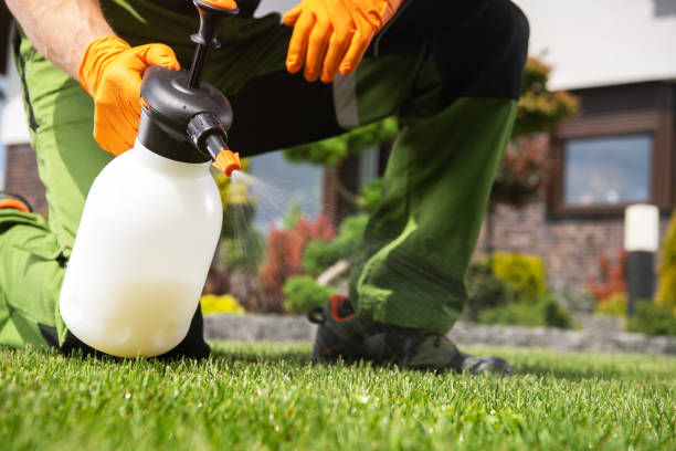 Reliable Oregon, IL Pest Control Solutions