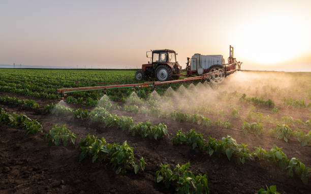 Trusted Oregon, IL Pest Control Experts