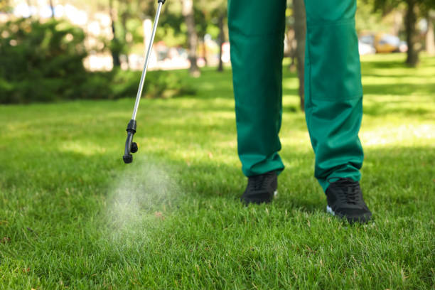 Best Cockroach Control Services  in Oregon, IL