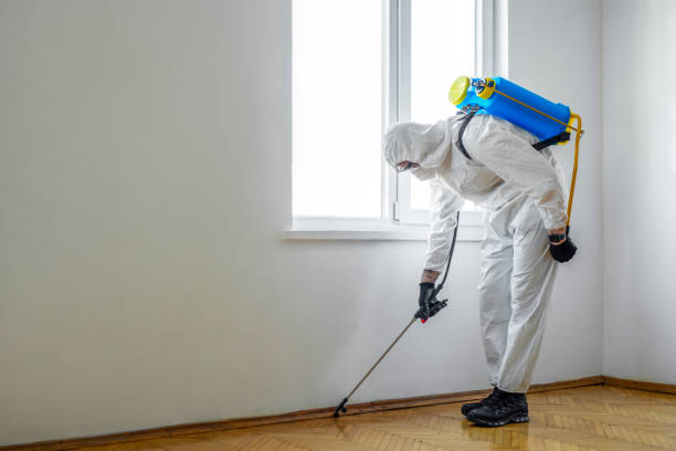 Flea Control Services in Oregon, IL