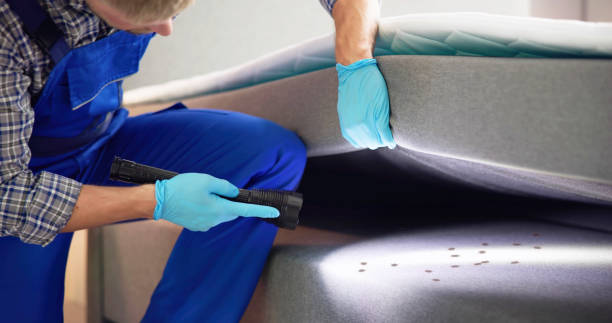 Best Cockroach Control Services  in Oregon, IL
