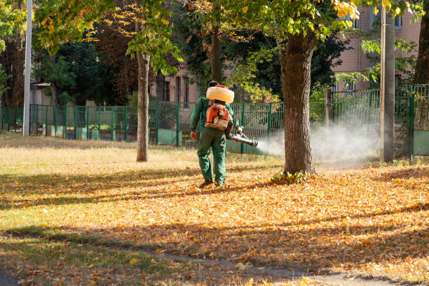 Insect Control in Oregon, IL