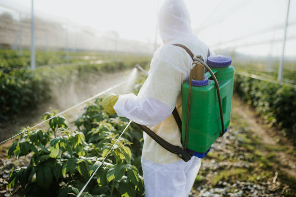 Best Pest Prevention Services  in Oregon, IL